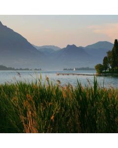 Candle Making Kit Soy Wax - Image 1