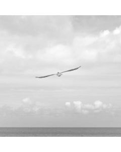 Travel Shoe Bags Set 4-Pack - Image 1