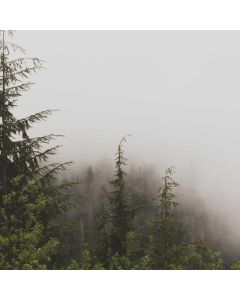 Camera Backpack Photography - Image 1