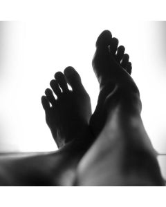 Smart Pet Feeder WiFi - Image 1