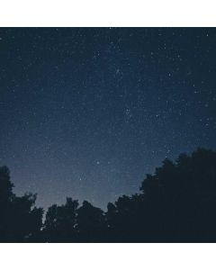 Motion Sensor Smart 2-Pack - Image 1